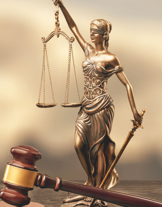 Criminal Defense Attorney